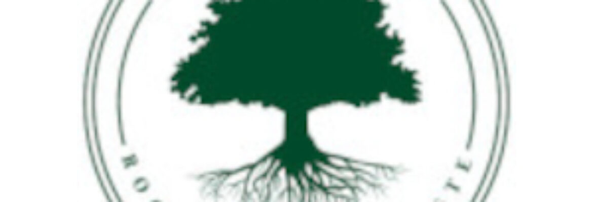 Sklep Spice Tree