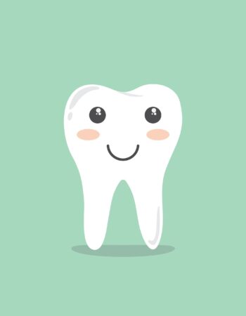 NBDental.pl