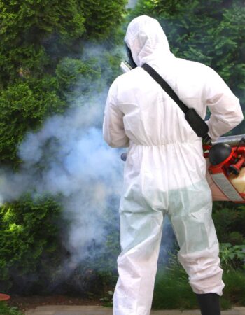 Zwalczanie Kretów Wrocław