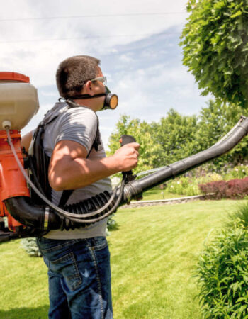 Zwalczanie Kretów Wrocław