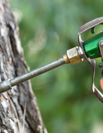 Zwalczanie Kretów Wrocław