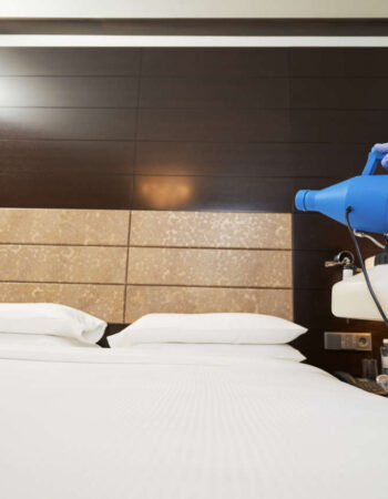 Zwalczanie Kretów Wrocław