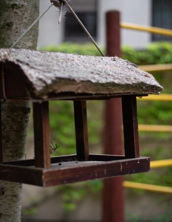 Przedszkole Kogut Lusowo